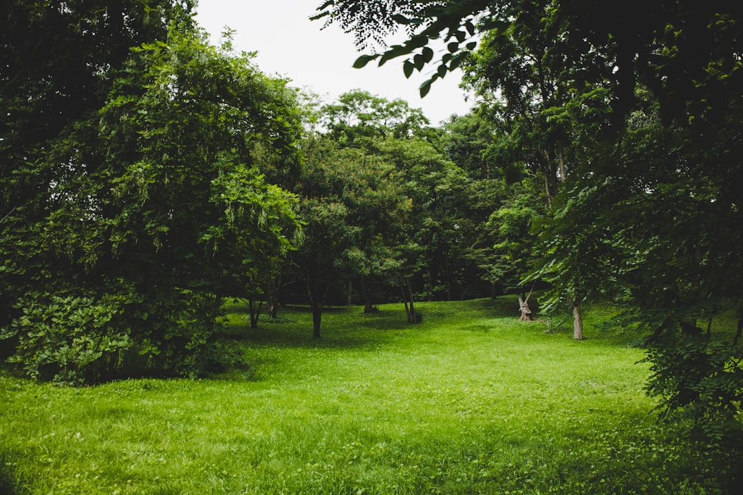Discover Sigurtà Garden Park: A Green Paradise - 1 | Secret World Trip Planner