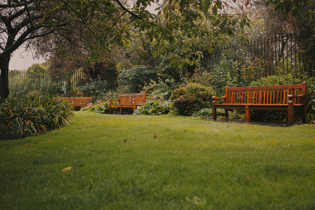 Entdecke den Parco Giardino Sigurtà: Ein Grünes Paradies - 1 | Secret World Trip Planner