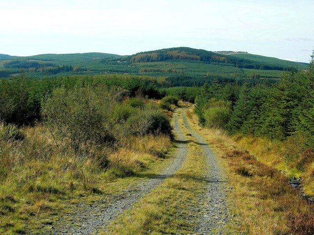 Galloway Forest Park: Ein Paradies für Sternenbeobachter - Creebridge | Secret World Trip Planner