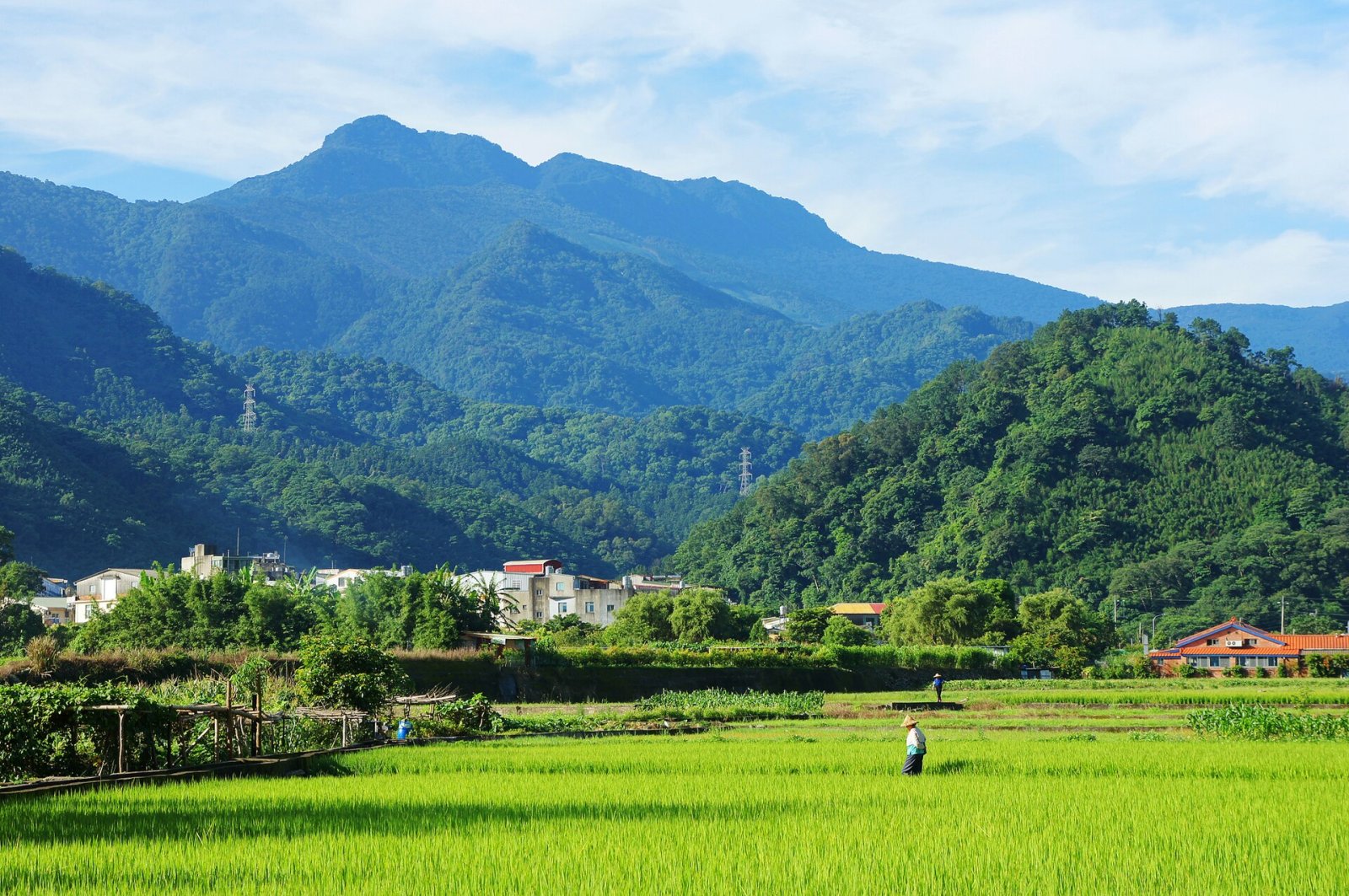 Discover the Magic of the Jialishan Mountain Range in Taiwan - Meiyuan Village | Secret World Trip Planner