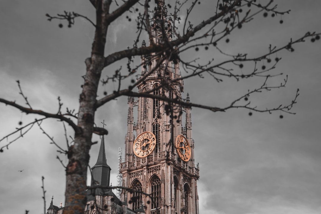 Scopri la Cattedrale di Anversa: un tesoro di cultura e storia — Grote Markt 58