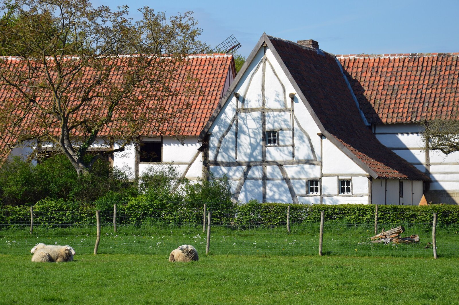Discover the Bokrijk Open Air Museum in Genk: A Journey into the Past - Heiblok 11 | Secret World Trip Planner