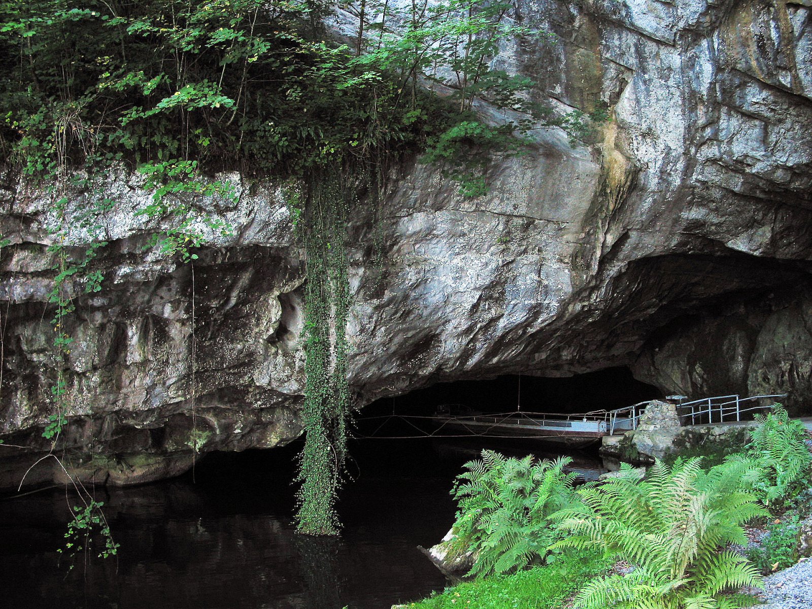 Exploring the Magical Caves of Han-sur-Lesse in Belgium — 458M+M8 Rochefort