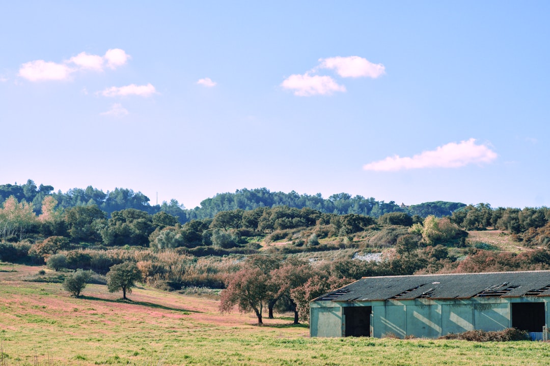 Discover the Beauty of the Arrábida Natural Park | Secret World Trip Planner