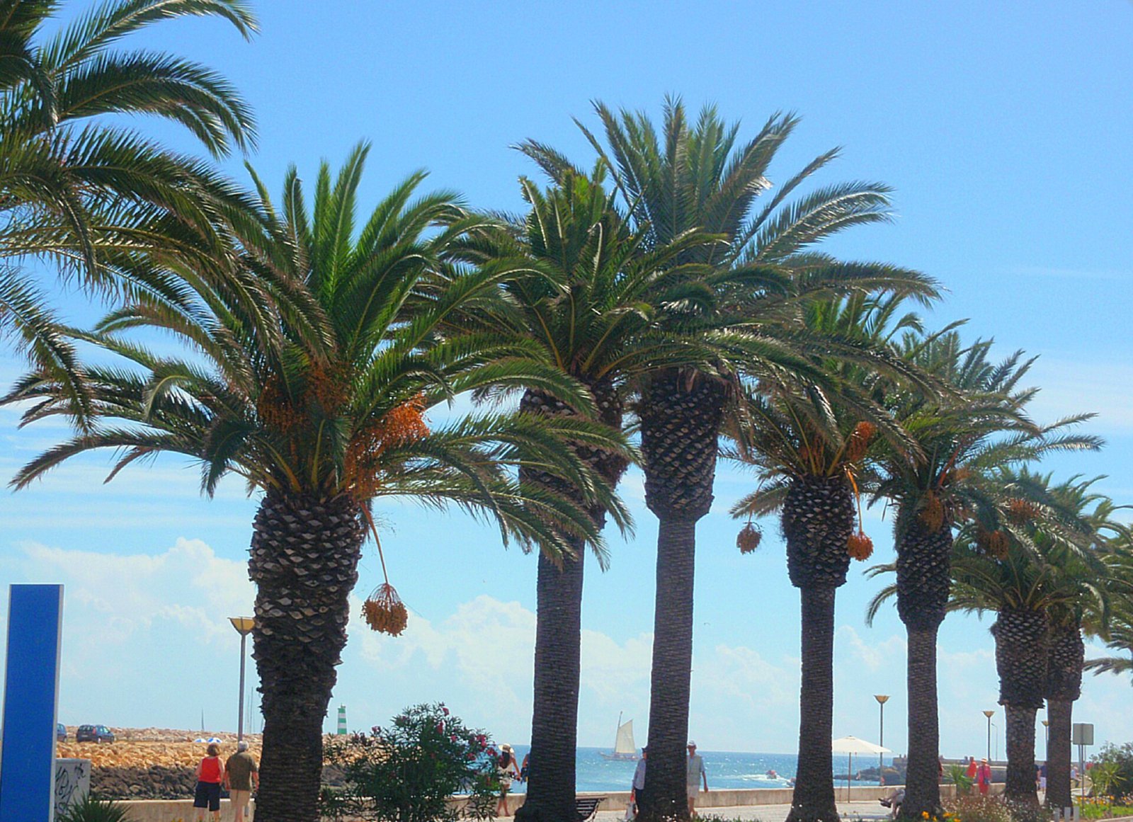 Entdecke den Charme der Algarve in Lagos: Natur und Abenteuer | Secret World Trip Planner