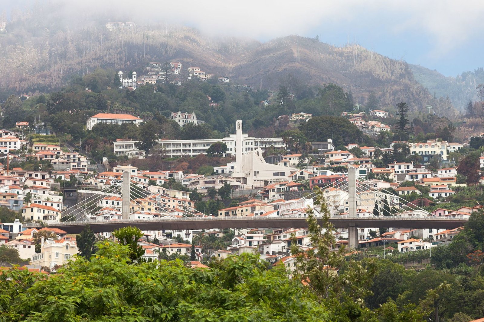 Explore the Levadas of Madeira: A Journey Through Nature and Culture