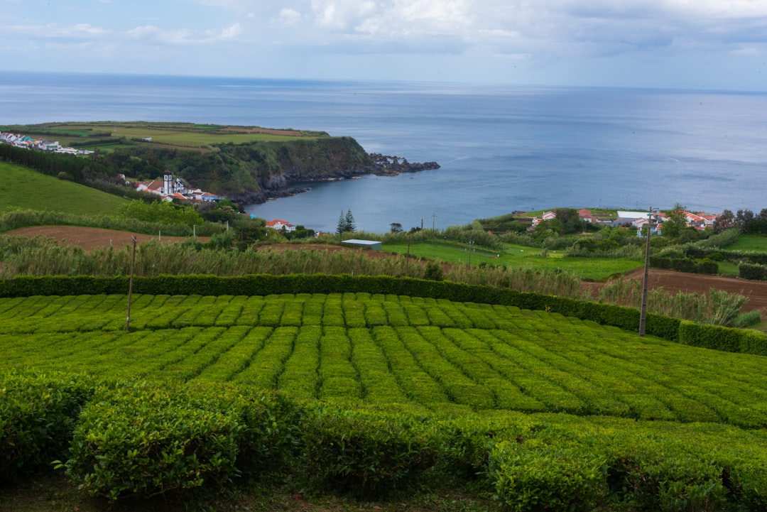 Scopri Ponta Delgada: la porta delle Azzorre | Secret World Trip Planner