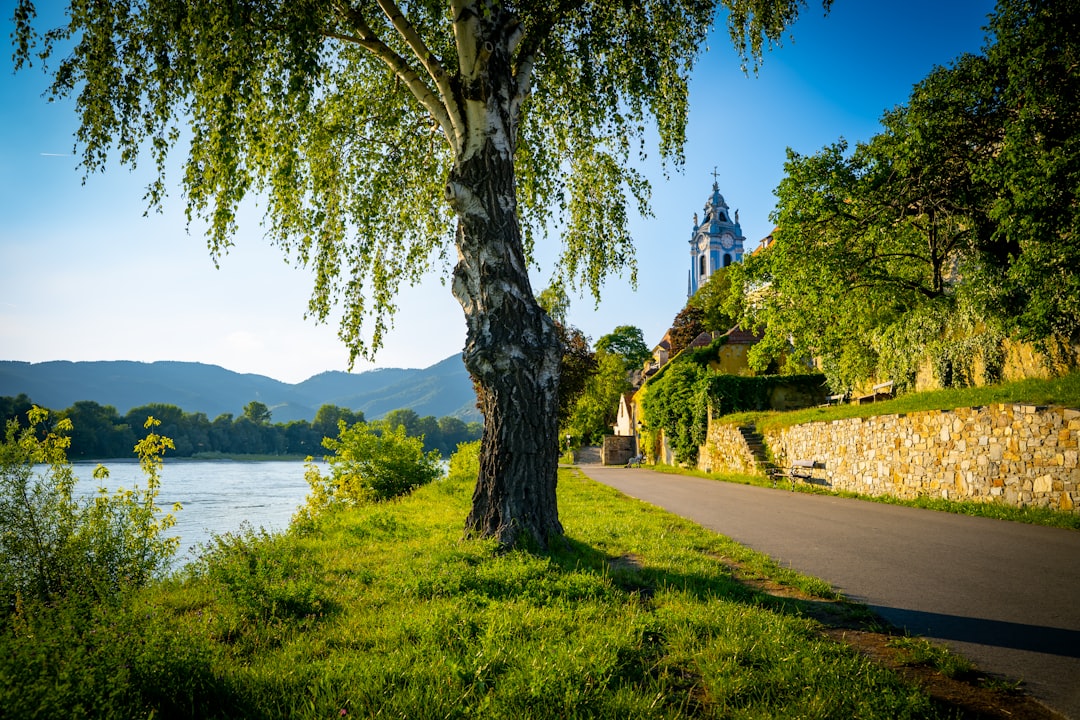 Discover the Wachau Valley: a Gem of Austria - Mautern an der Donau | Secret World Trip Planner
