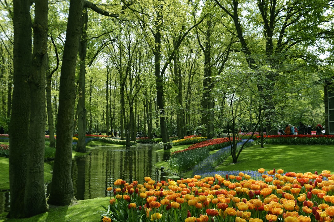 Entdecken Sie die Magie der Keukenhof-Gärten in Lisse — Lisse