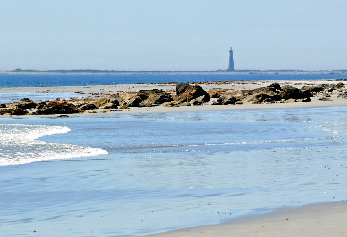 Wild Schönheit am Cape Sable Leuchtturm — The Hawk