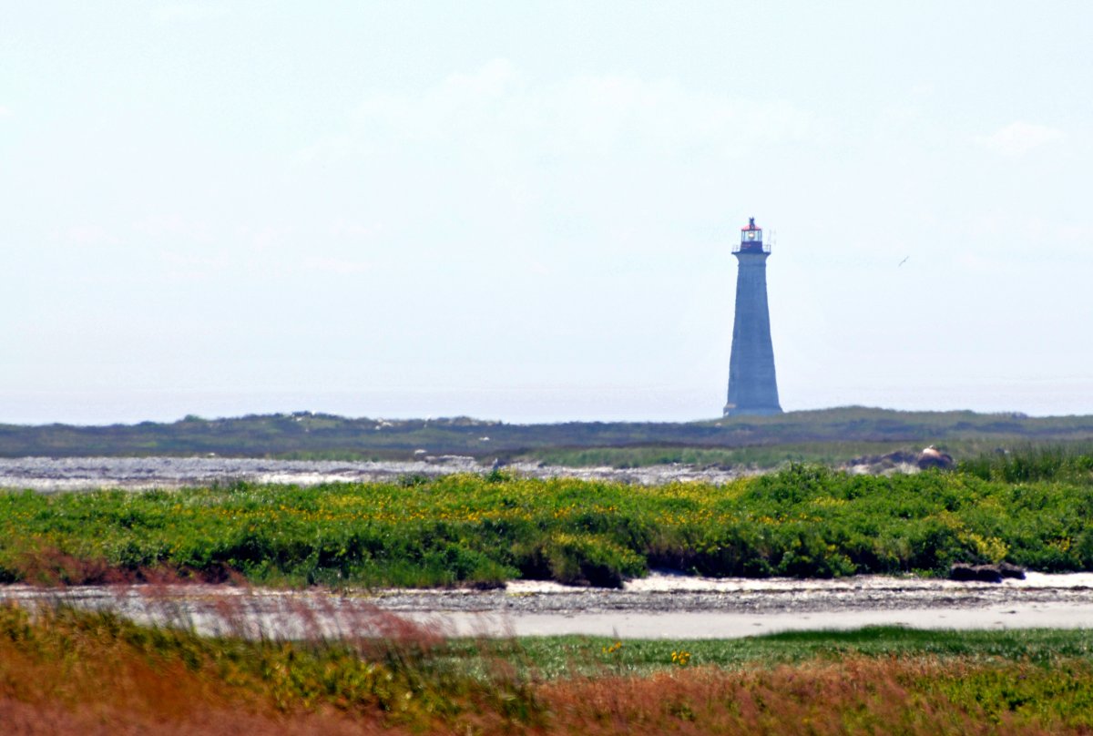 Wild Schönheit am Cape Sable Leuchtturm - The Hawk | Secret World Trip Planner