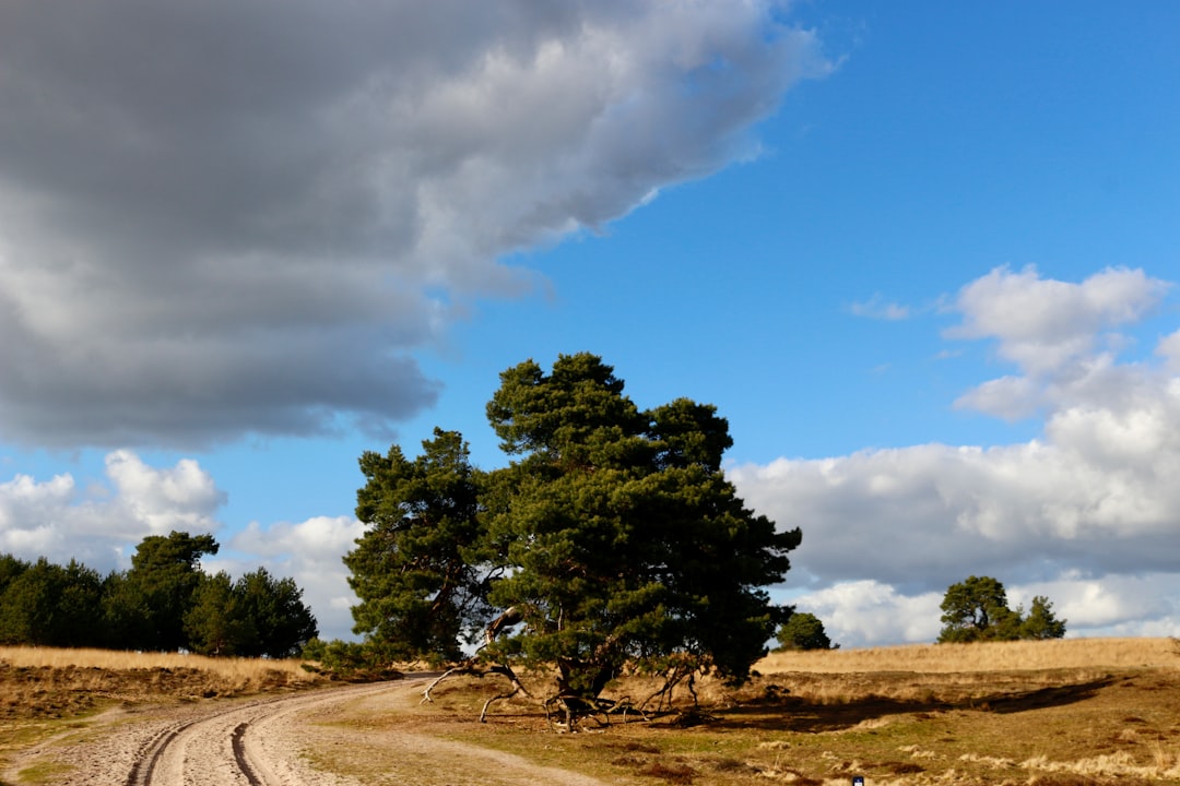 Scopri la bellezza del Parco Nazionale Hoge Veluwe - Otterlo | Secret World Trip Planner