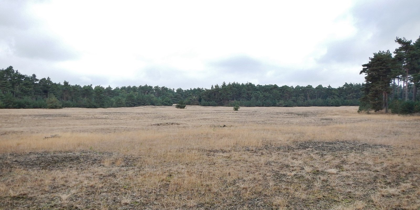 Discover the Beauty of Hoge Veluwe National Park - Otterlo | Secret World Trip Planner