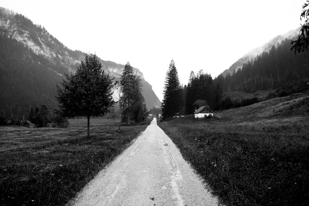 Entdecken Sie das Salzkammergut: ein Naturjuwel in Österreich — Gmunden