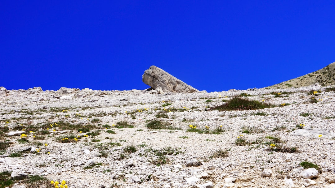 Osservatorio di Cerro Tololo: Un Paradiso per gli Astronomi — Vicuña