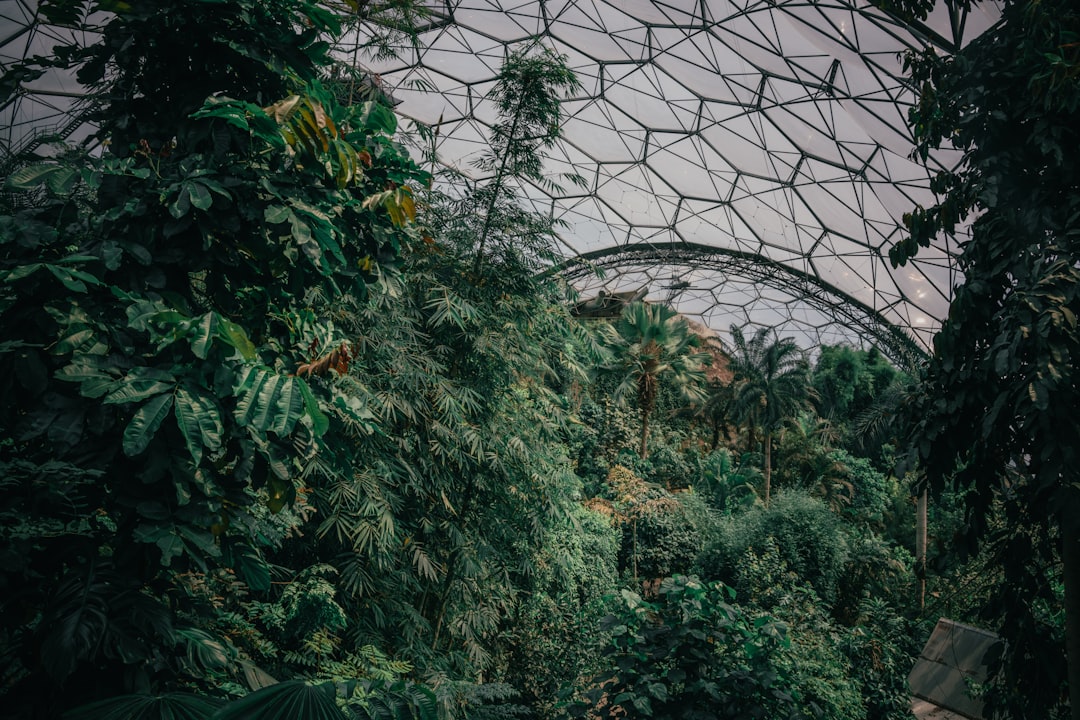 Entdecken Sie das Eden Project: Eine Reise zwischen Natur und Kultur in England — 9P5V+VV Mettet