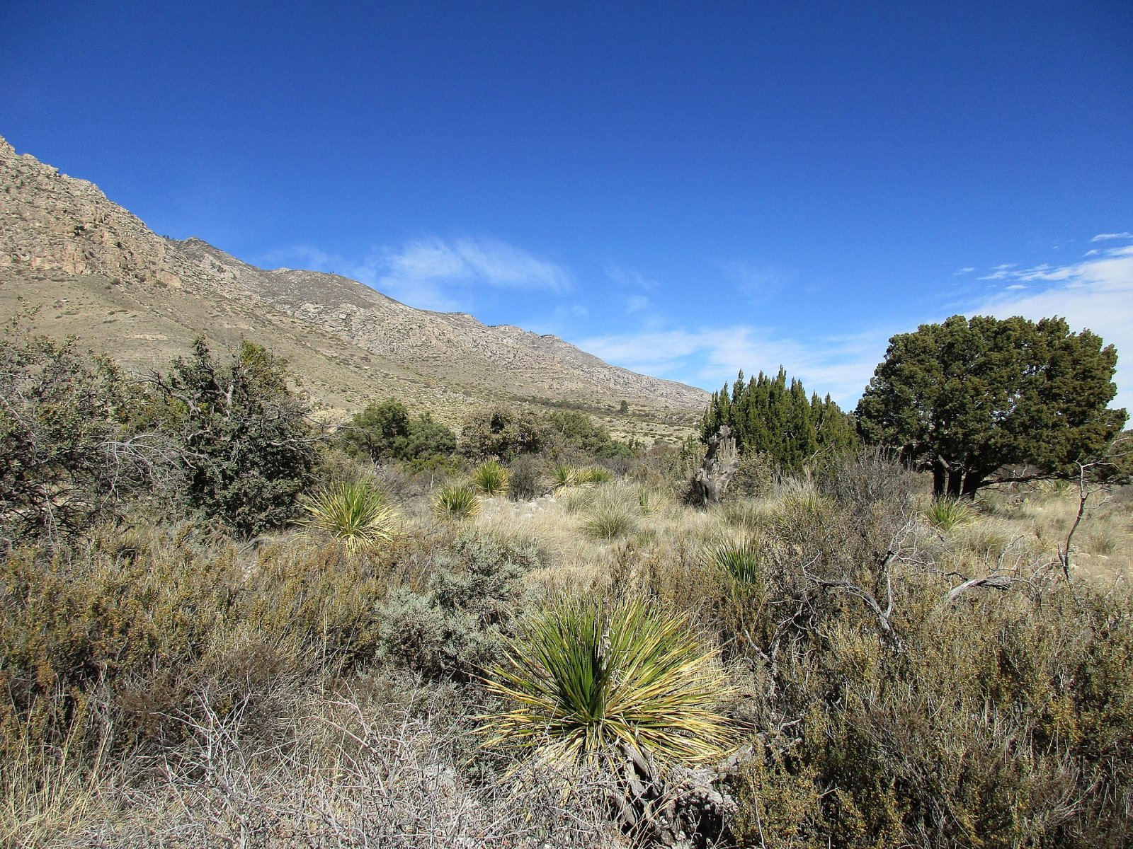 Guadalupe Mountains Nationalpark: ein Naturjuwel in Texas — Mianyang