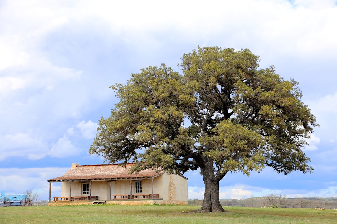 Discover Texas Hill Country: A Journey to Fredericksburg — Chamdo