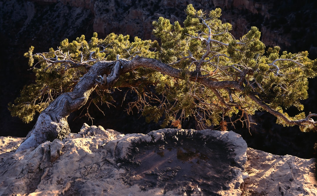 Atemberaubende Sonnenuntergänge am Mather Point - Grand Canyon Village | Secret World Trip Planner