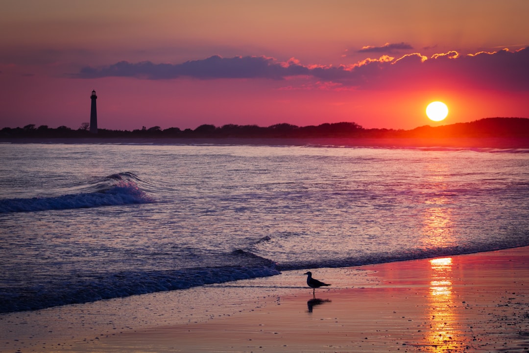Il Faro di Cape May: Un Viaggio nel Tempo e nella Bellezza — Cape May