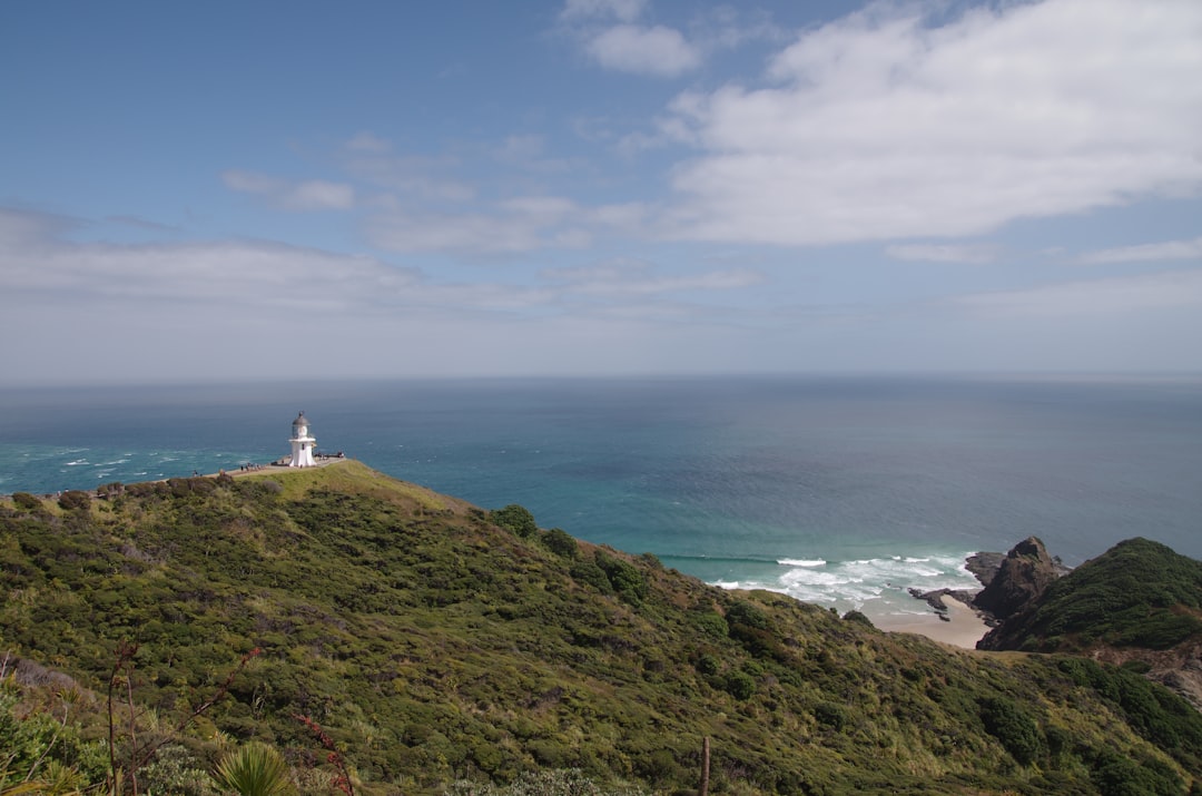 Faro di Cape Reinga: Dove i Mari si Incontrano - Capo Reinga 0484 | Secret World Trip Planner