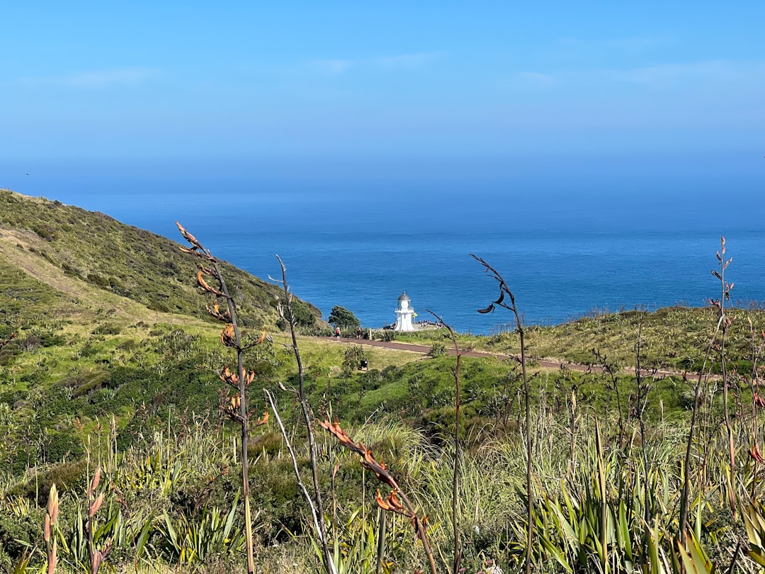 Faro di Cape Reinga: Dove i Mari si Incontrano - Capo Reinga 0484 | Secret World Trip Planner
