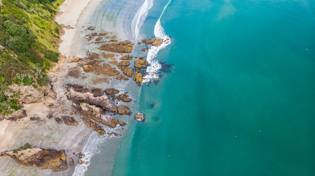 Dream Beaches: Discover Waiheke Island, New Zealand - Isola Waiheke | Secret World Trip Planner