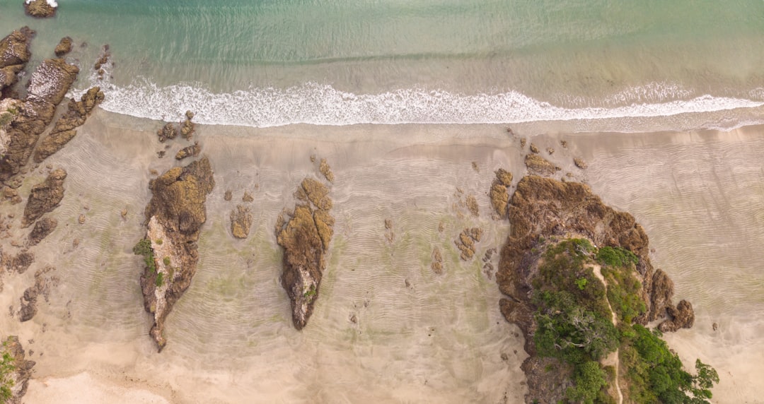 Traumsch beaches: Die Waiheke-Insel in Neuseeland - Isola Waiheke | Secret World Trip Planner