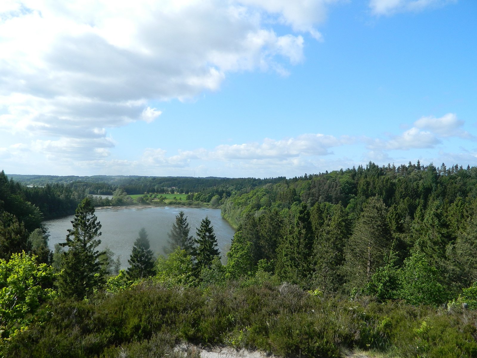 Sukkertoppen: un gioiello naturale della Danimarca — 2MQG+CM Skanderborg