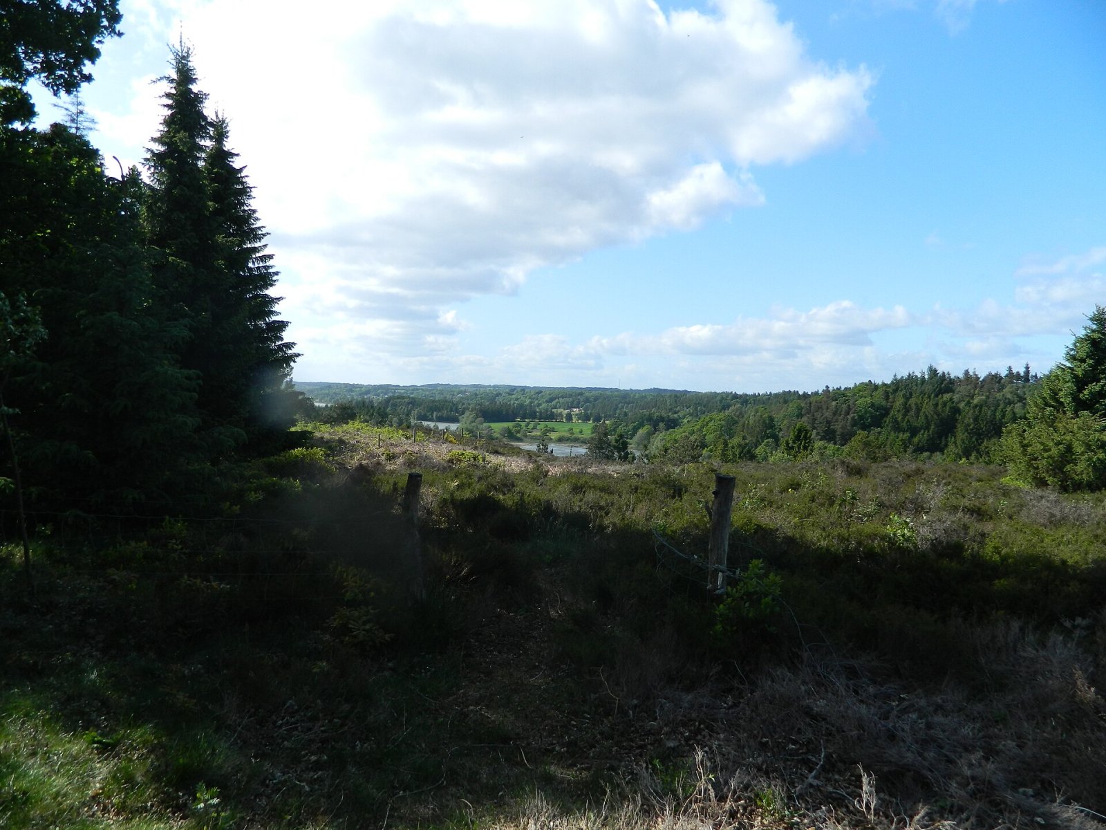 Sukkertoppen: un gioiello naturale della Danimarca - 2MQG+CM Skanderborg | Secret World Trip Planner