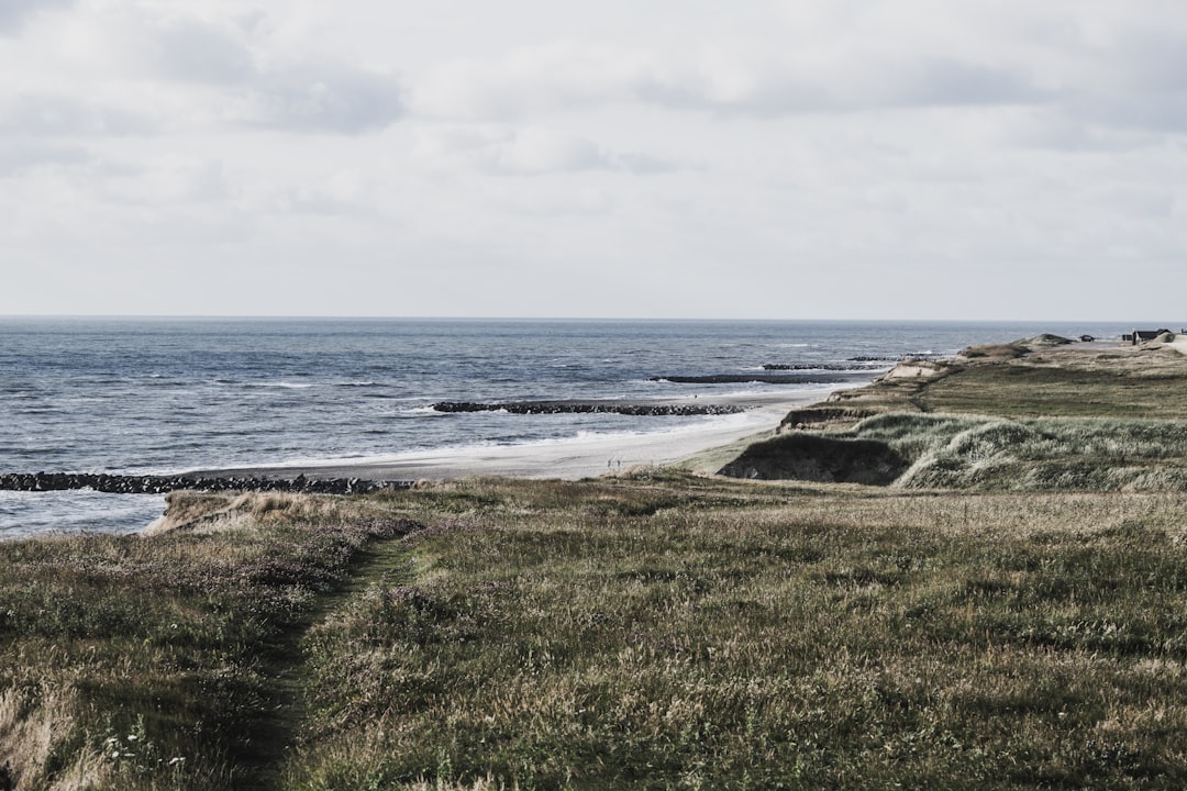 Ravnebjerg: a Nature Haven in Denmark - Hovedvejen 87 | Secret World Trip Planner