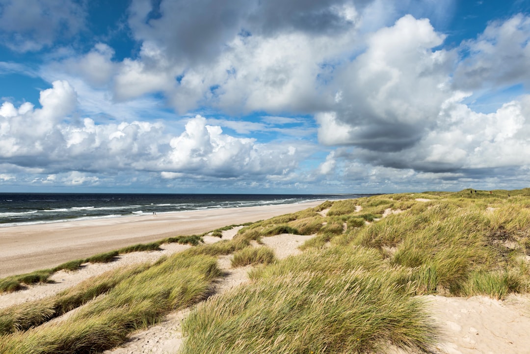 Ravnebjerg: Ein Naturparadies in Dänemark — Hovedvejen 87