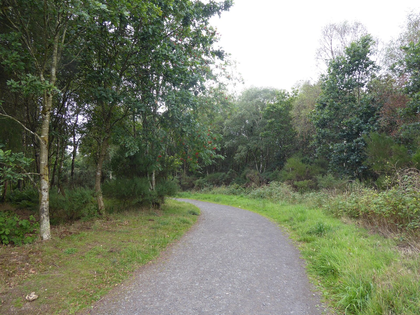 Moncreiffe Hill: a corner of nature in Scotland - Perth and Kinross | Secret World Trip Planner