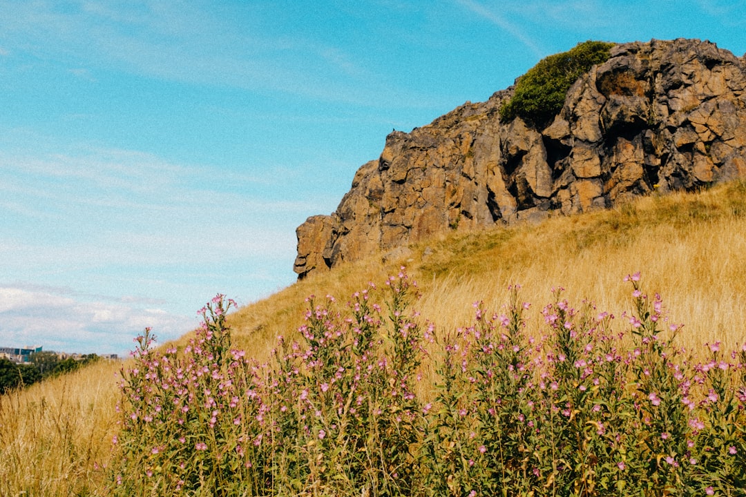 Arthur's Seat: Der erloschene Vulkan von Edinburgh zum Erkunden - WRVQ+J7 Edinburgh | Secret World Trip Planner
