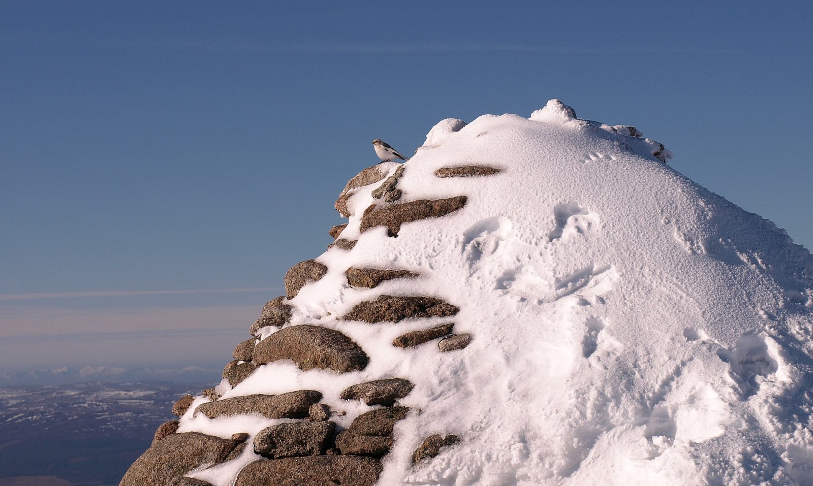 Cairn Gorm: The Iconic Mountain of the Scottish Highlands — Highland Council