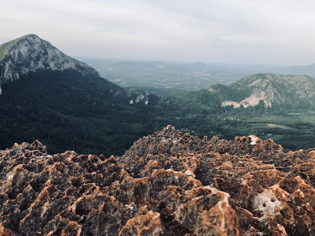 Discover Gunung Pulai: A Natural Paradise in Malaysia — Pekan Nanas