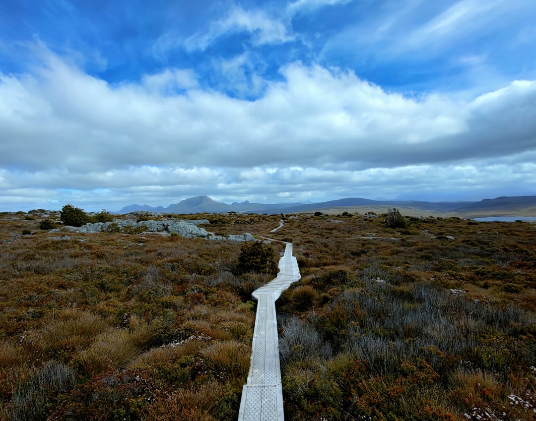 Entdecke den Overland Track: Abenteuer in Tasmanien — Overland Track