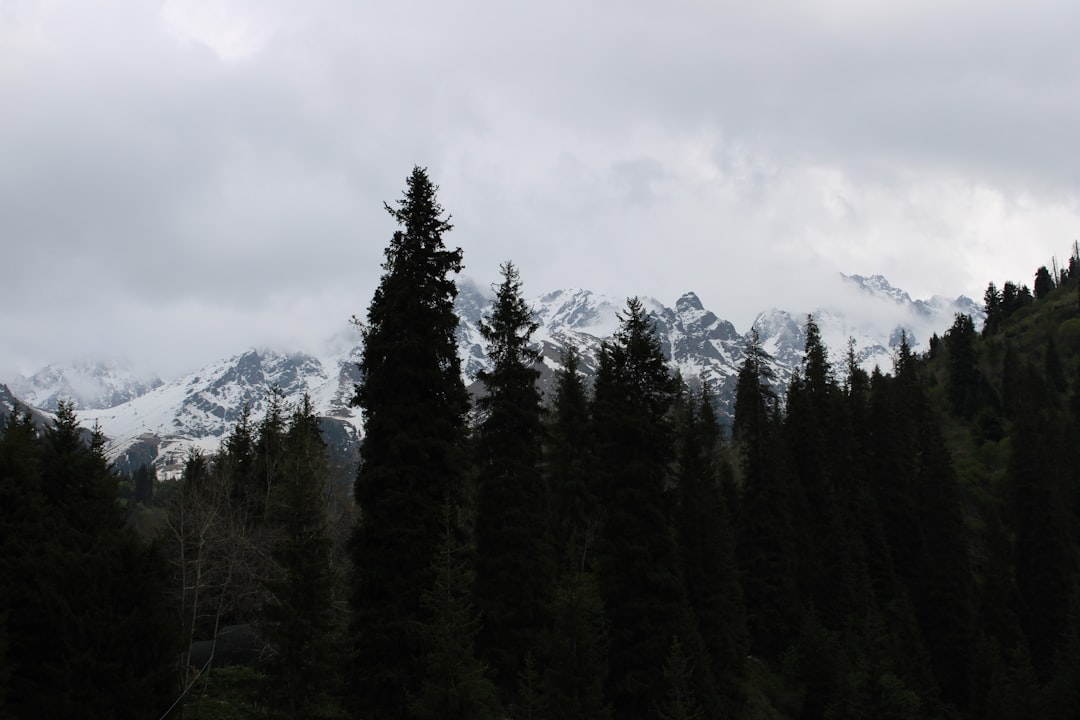 Discover Almaty: The Green Market and Its Wonders - Almaty | Secret World Trip Planner