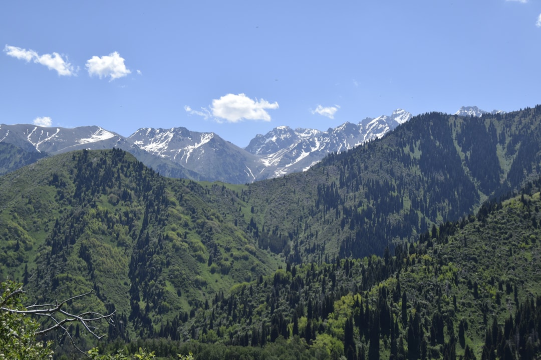 Discover Almaty: The Green Market and Its Wonders - Almaty | Secret World Trip Planner