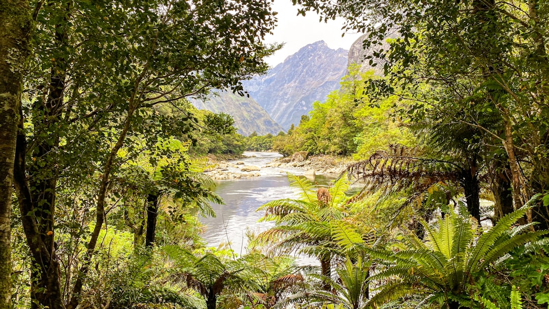 Milford Track: New Zealand's Fiordland Trail Adventure — Milford Track