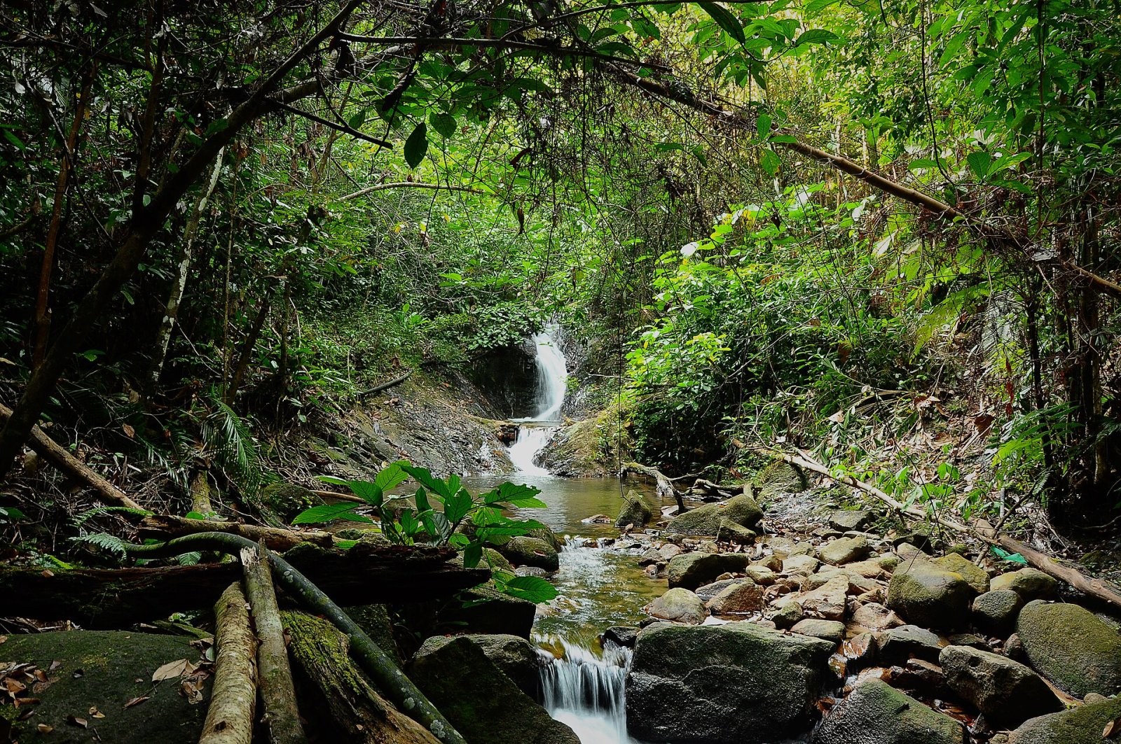 Entdecken Sie Gunung Belumut: ein Naturjuwel in Malaysia — Kulai