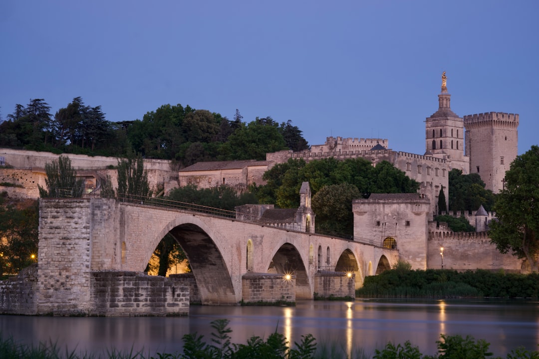 Pont Vieux: The Hidden Bridge of Albi - Pont Vieux | Secret World Trip Planner