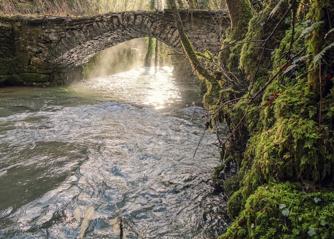 Pont Vieux: The Hidden Bridge of Albi - Pont Vieux | Secret World Trip Planner