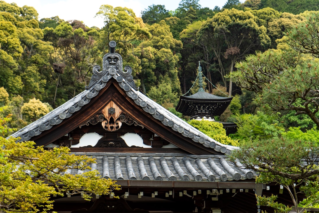 Kōtō-in: A Hidden Gem in Kyoto's Serenity - Kyoto | Secret World Trip Planner