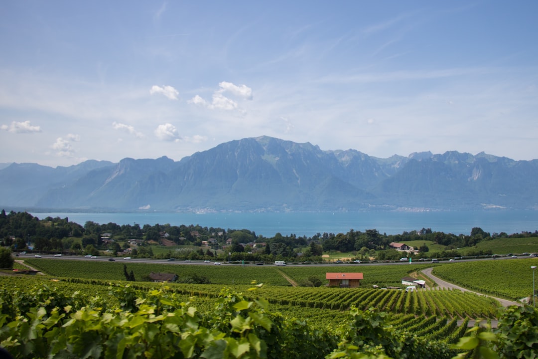 Château d'Ouchy: Un gioiello nascosto in Svizzera - Pl. du Port | Secret World Trip Planner