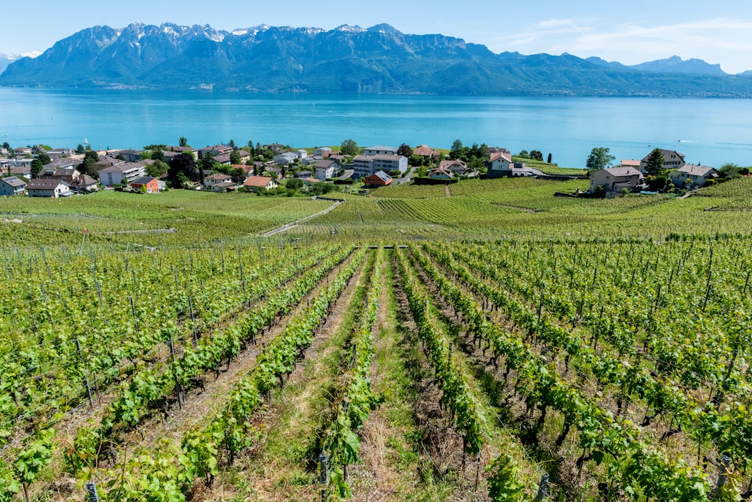 Château d'Ouchy: A Hidden Gem in Switzerland - Pl. du Port | Secret World Trip Planner
