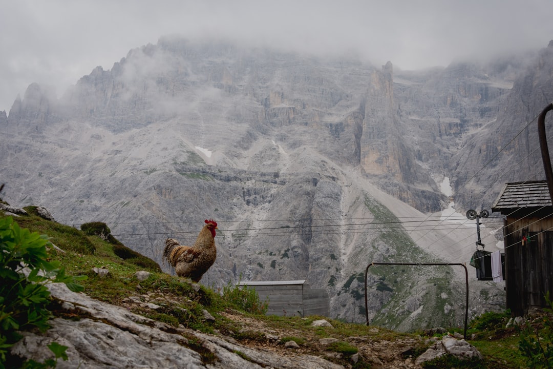 Sesto: A Hidden Paradise in the Dolomites - 39030 Sesto BZ | Secret World Trip Planner