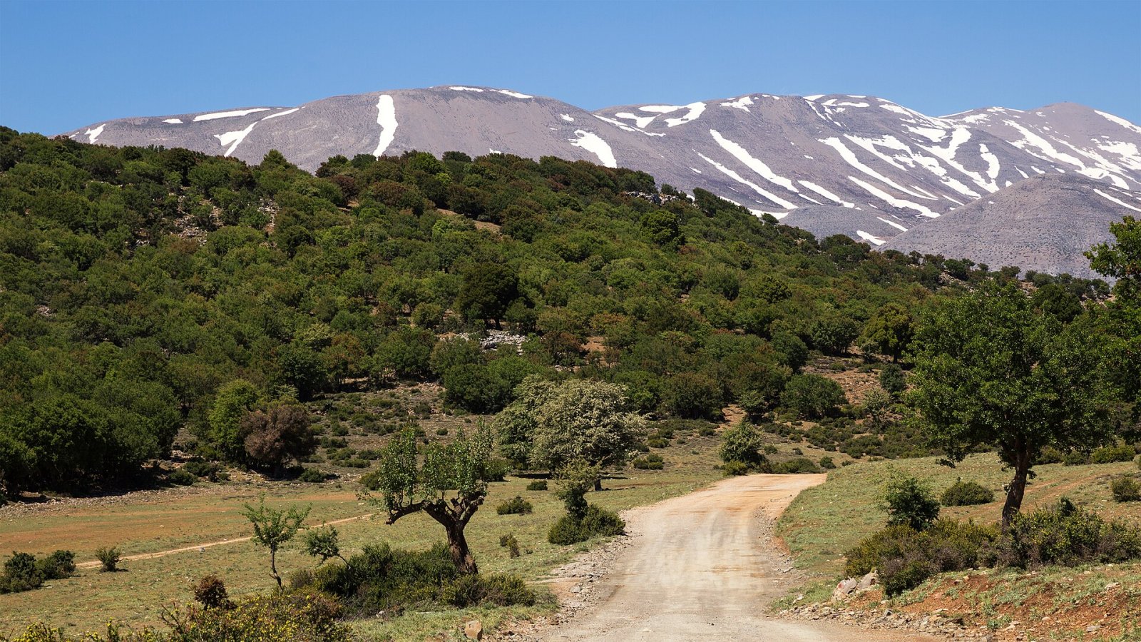 Esplorando il Parco Naturale di Psiloritis in Grecia — Kouloukonas