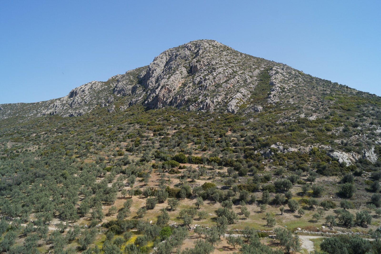 Arachnaio: Ein Naturparadies in Griechenland entdecken — JXRC+H6 Midea