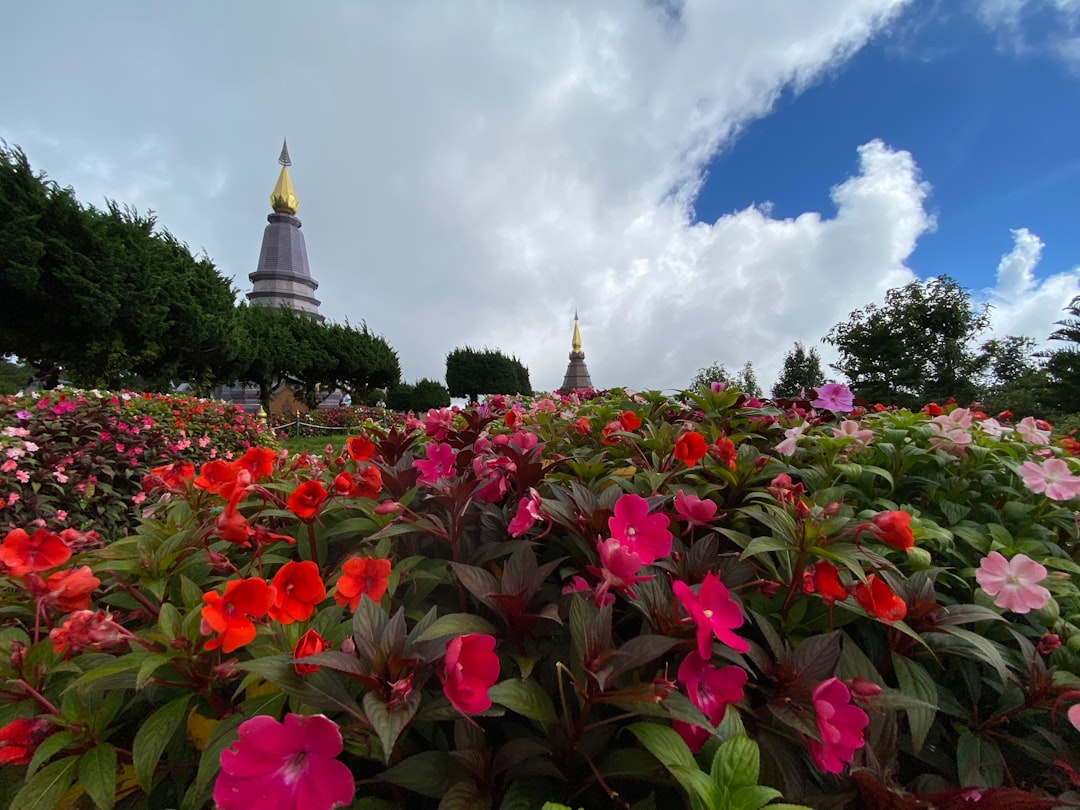 Doi Inthanon: Der höchste Gipfel Thailands zum Erkunden - Amphoe Mae Chaem | Secret World Trip Planner